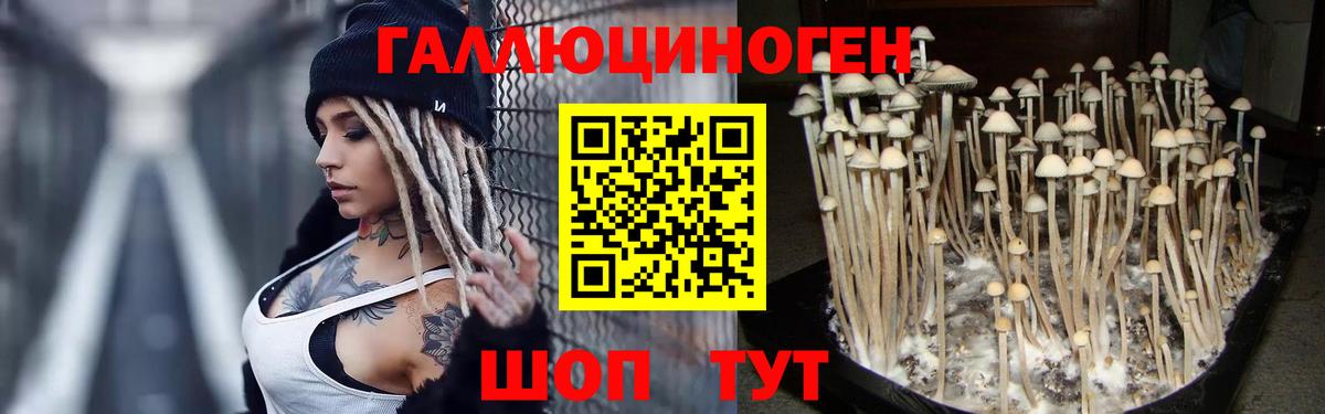 Псилоцибиновые грибы ЛСД  Вход с VPN  Зеленогорск 